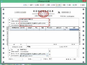 北京国税第十二期 其他生活服务发票开具示例（金税盘版）
